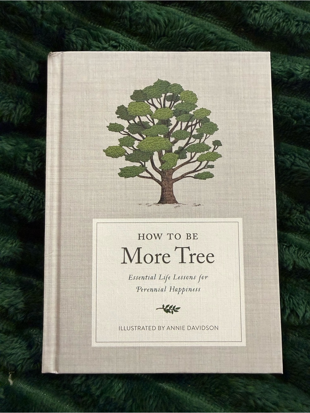 How to Be More Tree: Essential Life Lessons for Perennial Happiness Hardcover